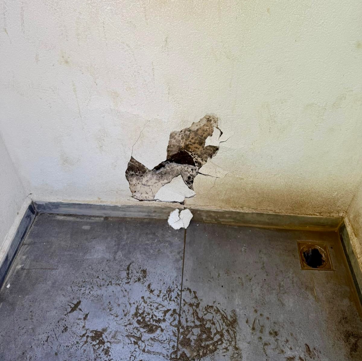 533410058 18321854851208168 8561884329718773865 N