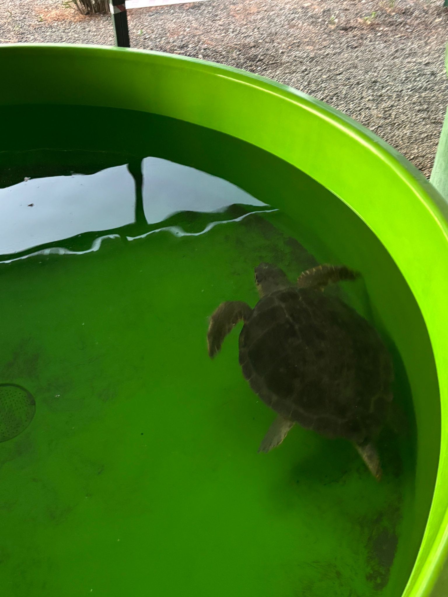 536276212 4078652219040339 4895219466593206167 N