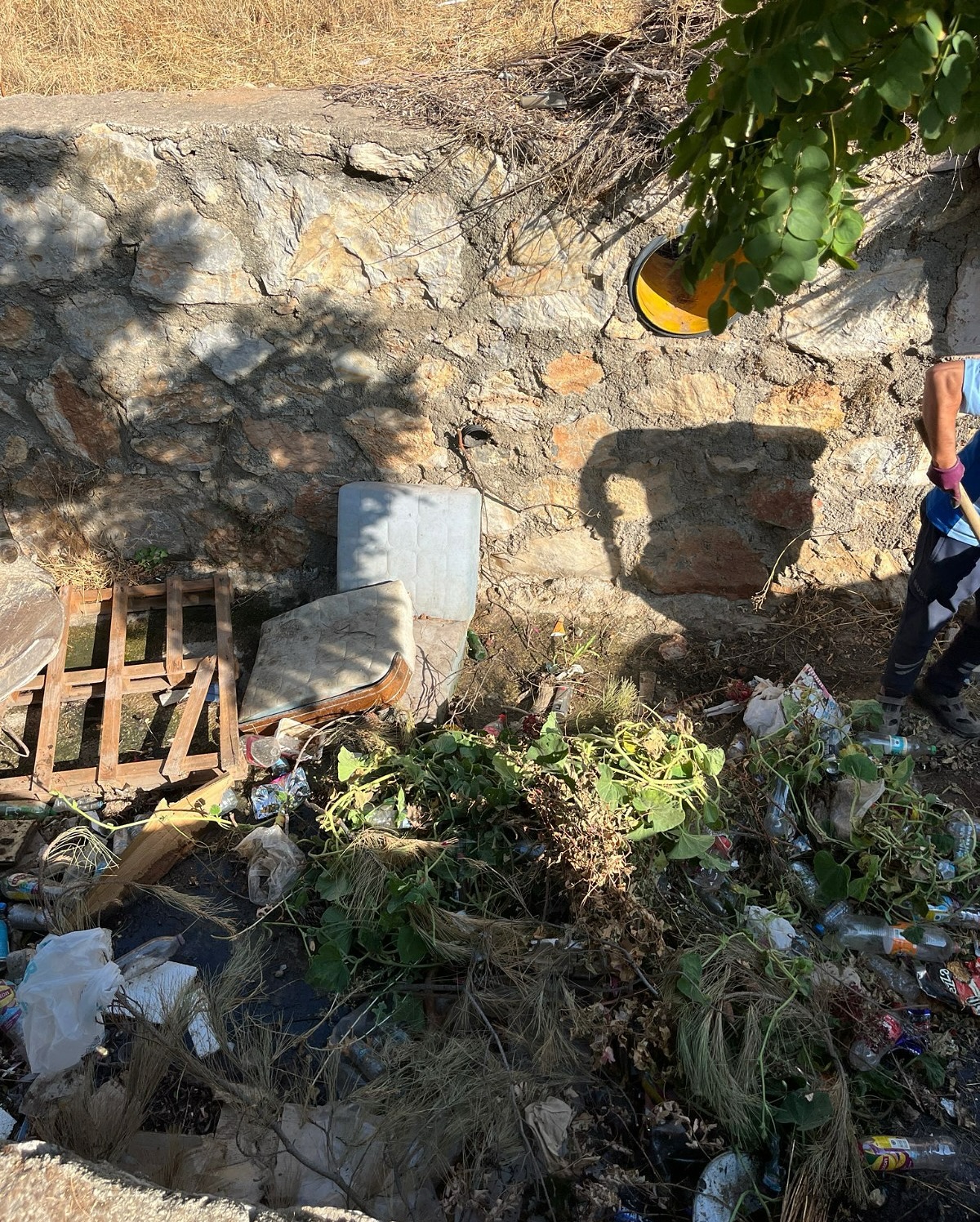 540000173 18524477122002272 2981716078191301095 N