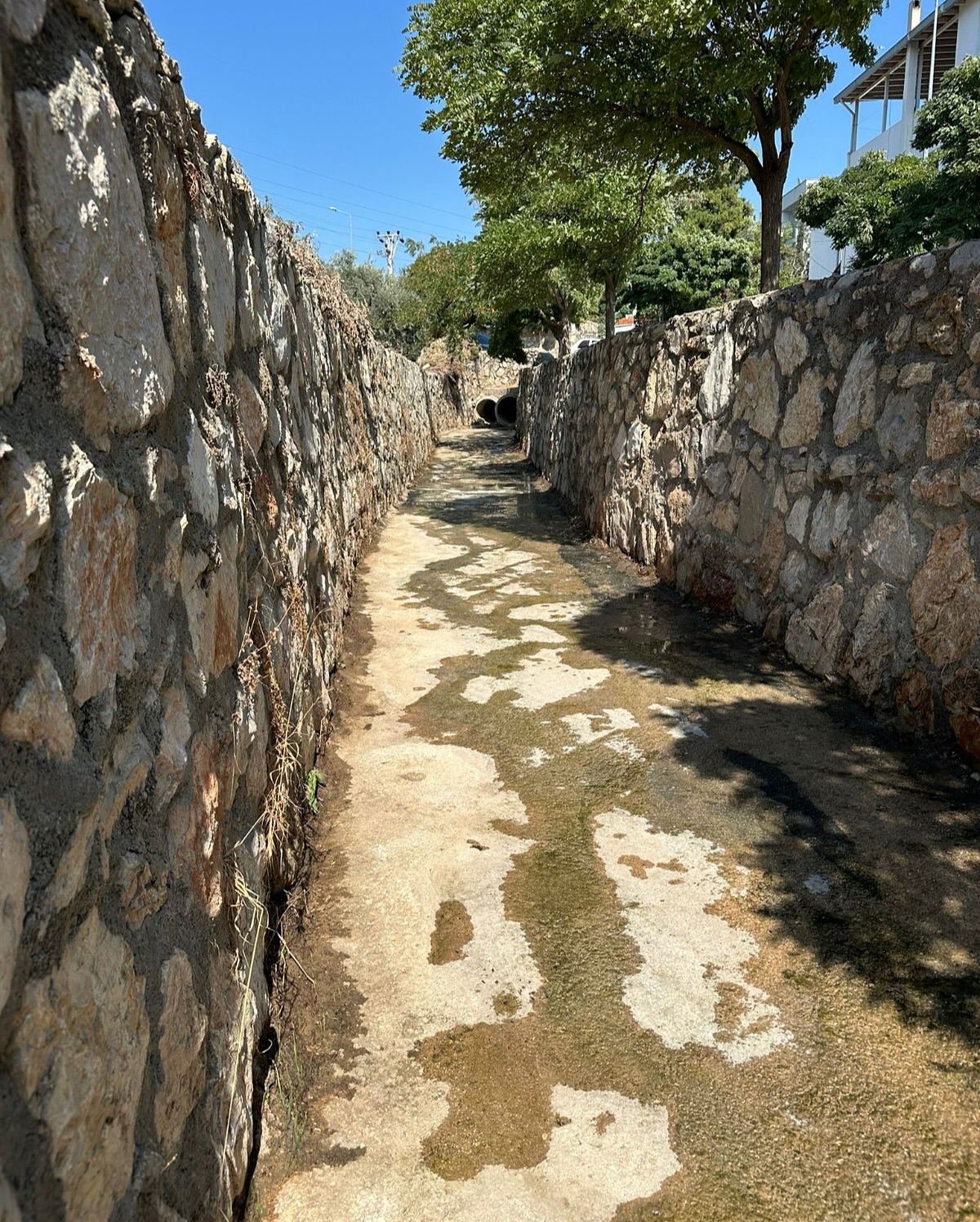 540393385 18524477164002272 8435433505201135783 N