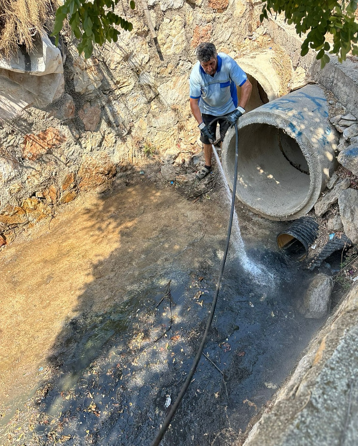 541222274 18524477155002272 4049975648896620655 N