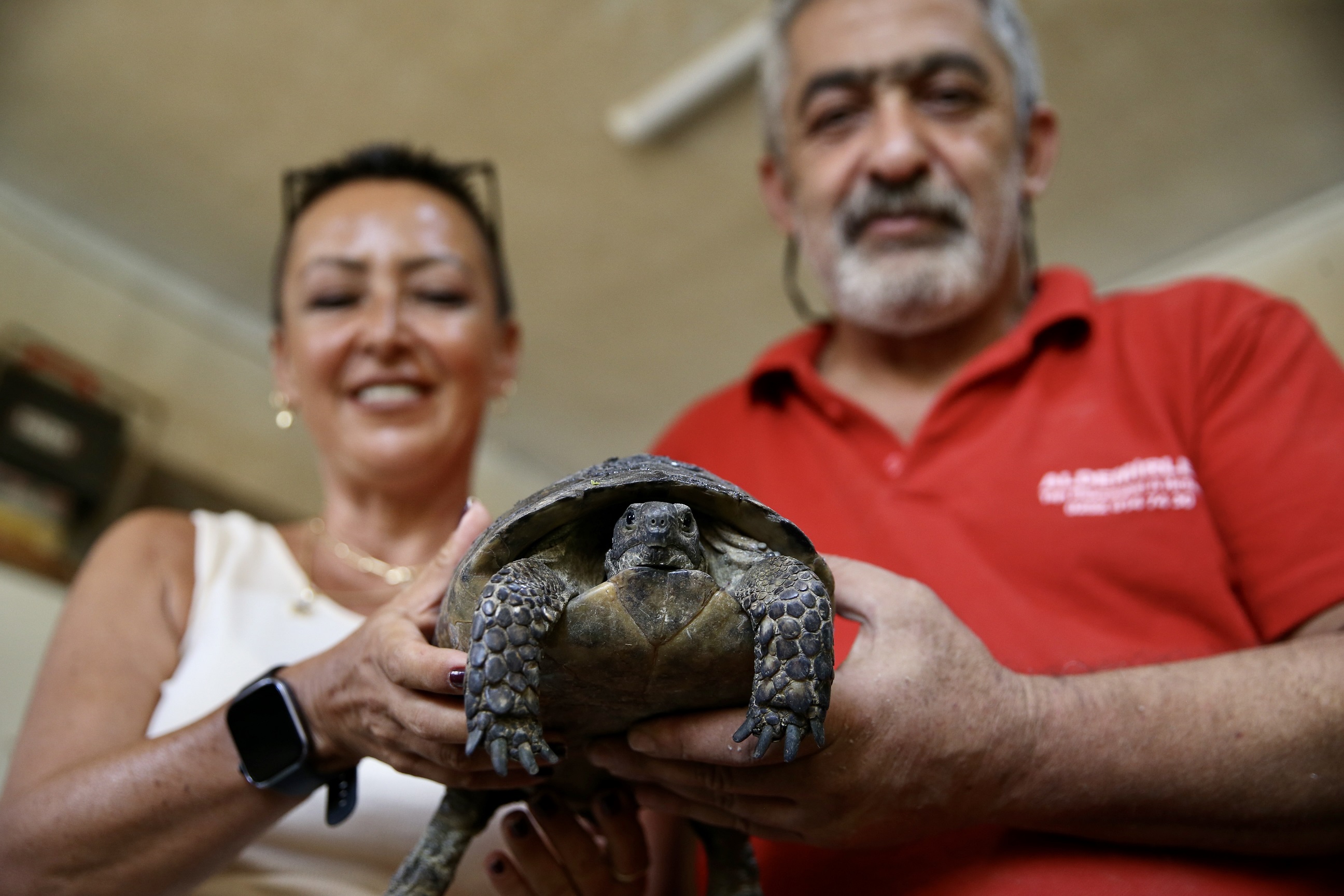 A A 20250817 38850319 38850311 K A P L U M B A G A N I N K I R I K K A B U G U A H S A P U S T A S I N I N D O K U N U S U Y L A O N A R I L D I