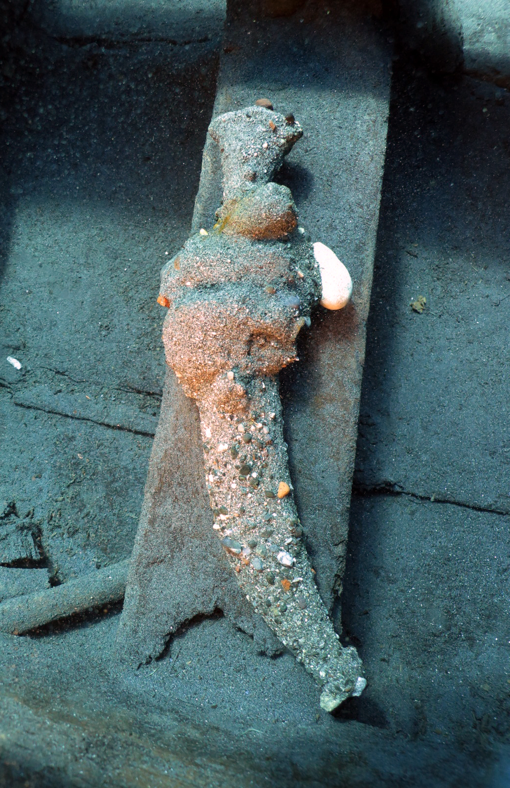 A A 20250824 38908533 38908532 D A T C A A C I K L A R I N D A K I O S M A N L I B A T I G I N D A N B I R M U Z E Y I D O L D U R A C A K K A D A R E S E R C I K T I