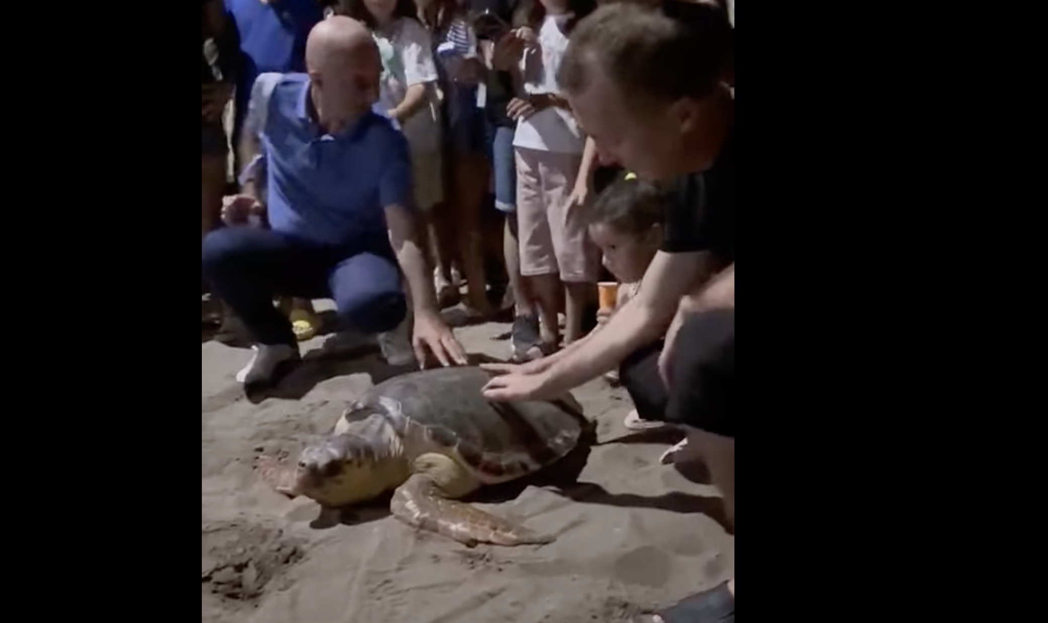 Ekran Resmi 2025 08 23 18.39.45