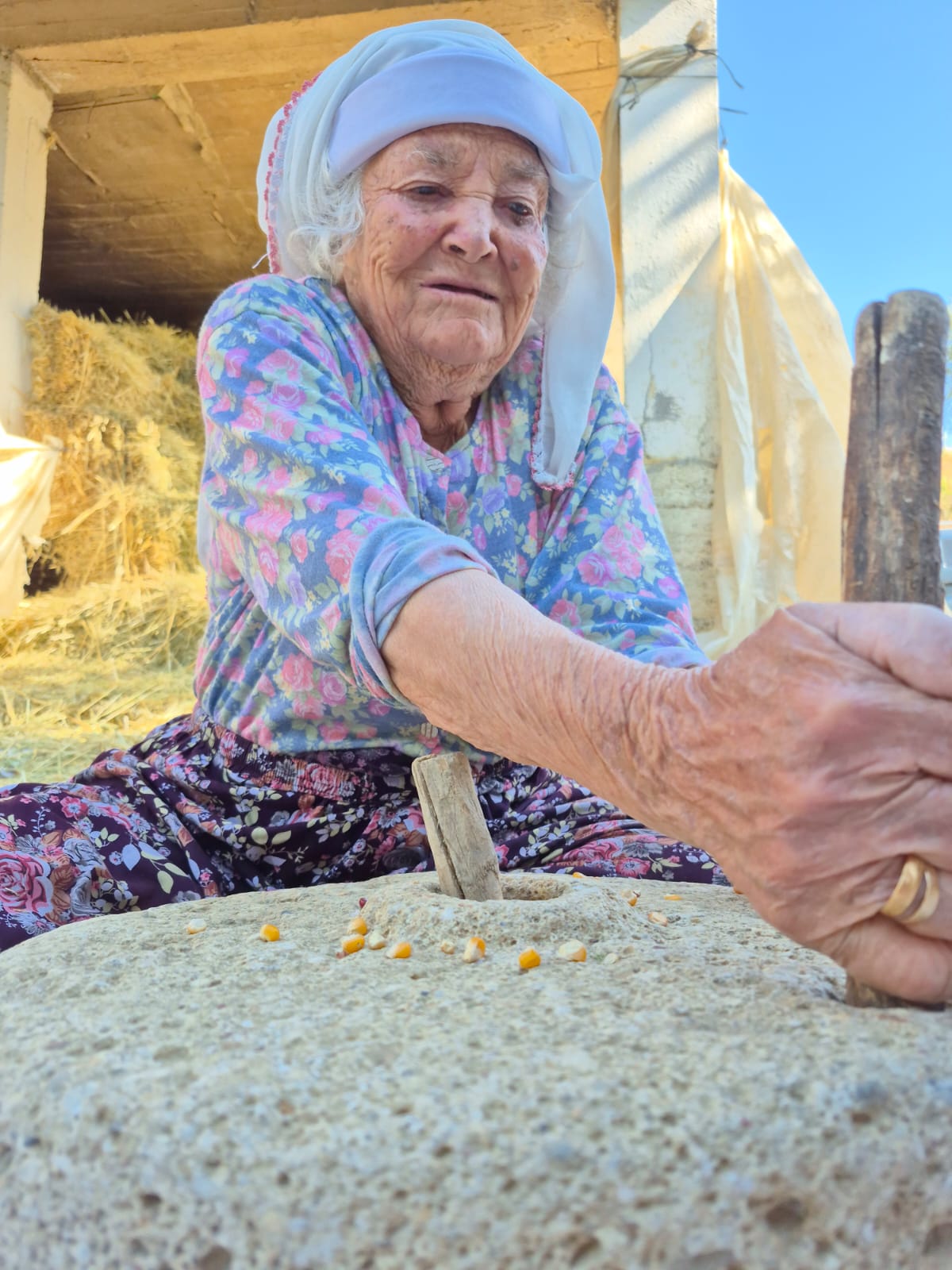 Whatsapp Image 2025 08 01 At 08.59.15