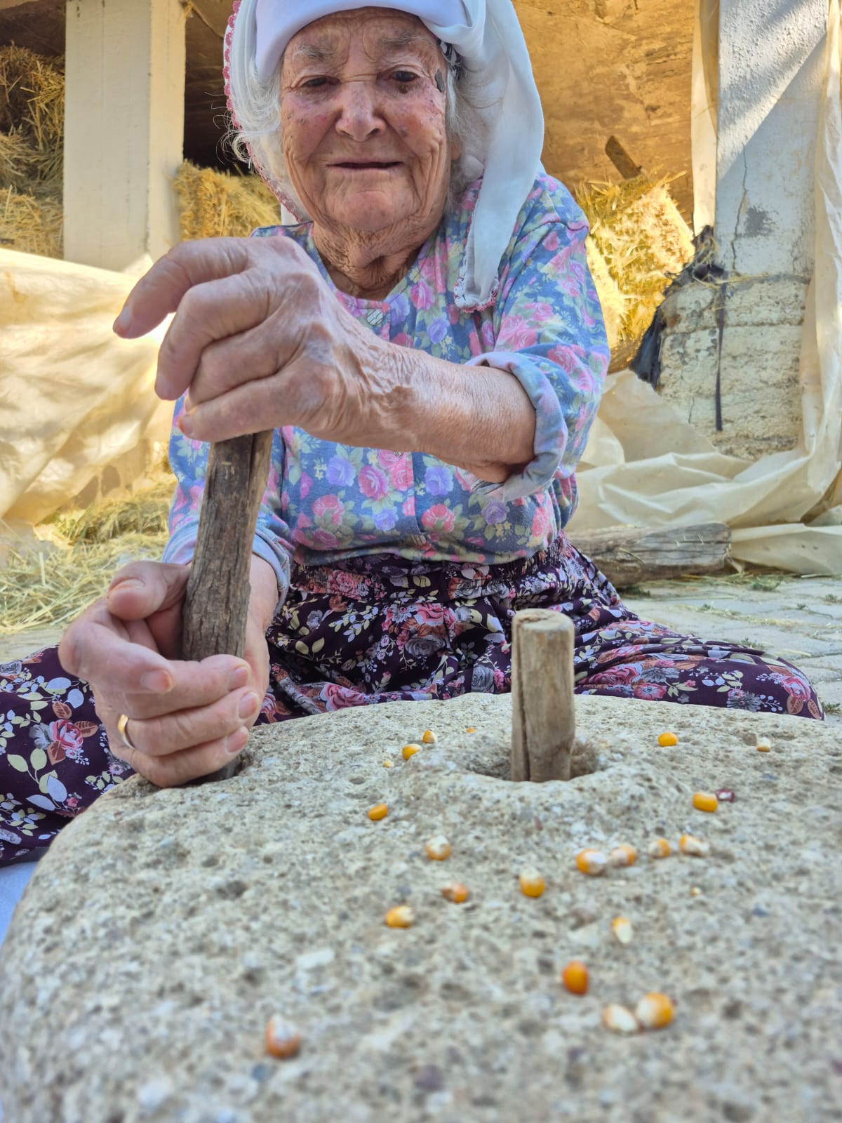 Whatsapp Image 2025 08 01 At 08.59.16