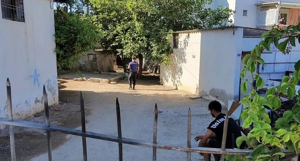 Whatsapp Image 2025 08 01 At 10.49.45 (1)