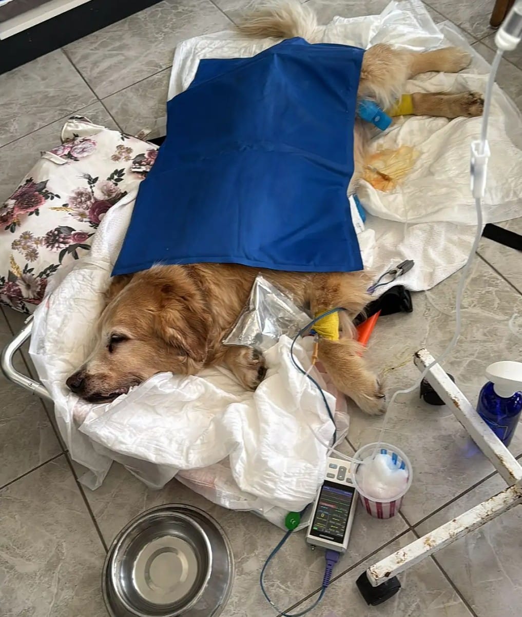 Whatsapp Image 2025 08 01 At 19.08.00