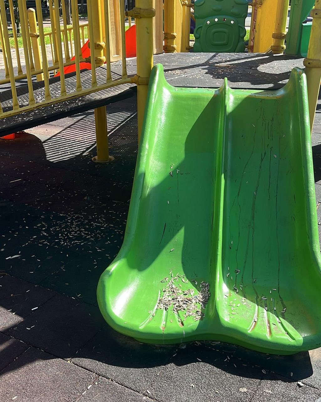 Whatsapp Image 2025 08 02 At 11.01.45