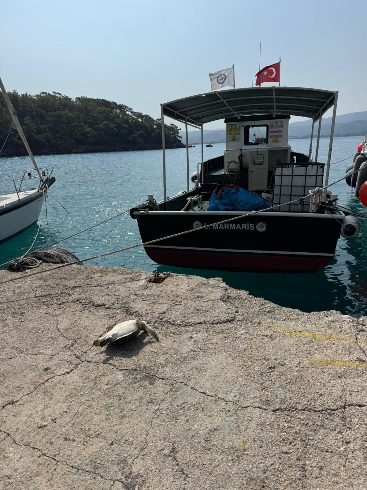 Whatsapp Image 2025 08 02 At 11.58.39 (1)