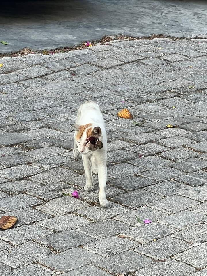 Whatsapp Image 2025 08 03 At 09.12.15 (1)