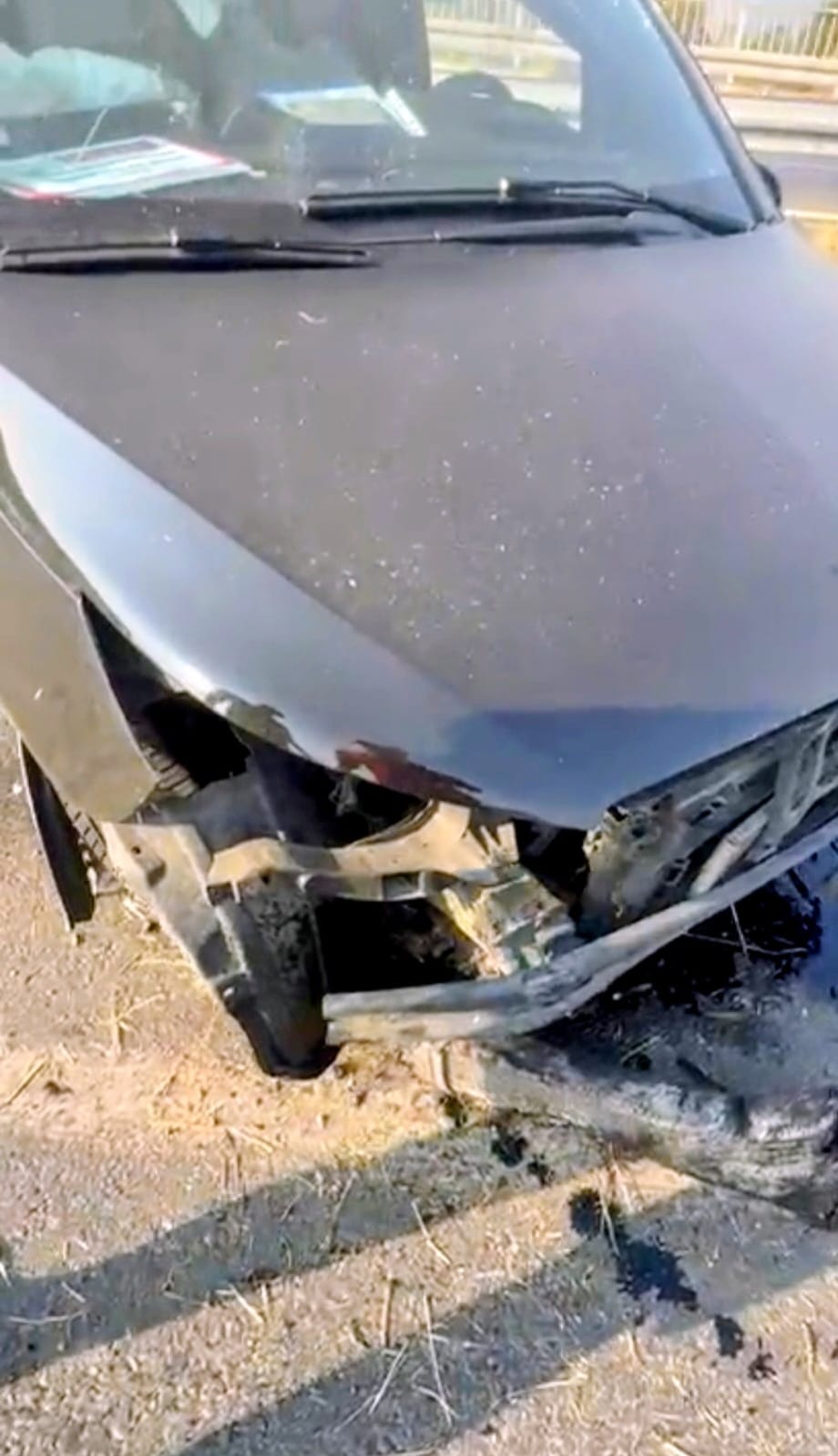 Whatsapp Image 2025 08 03 At 11.59.14