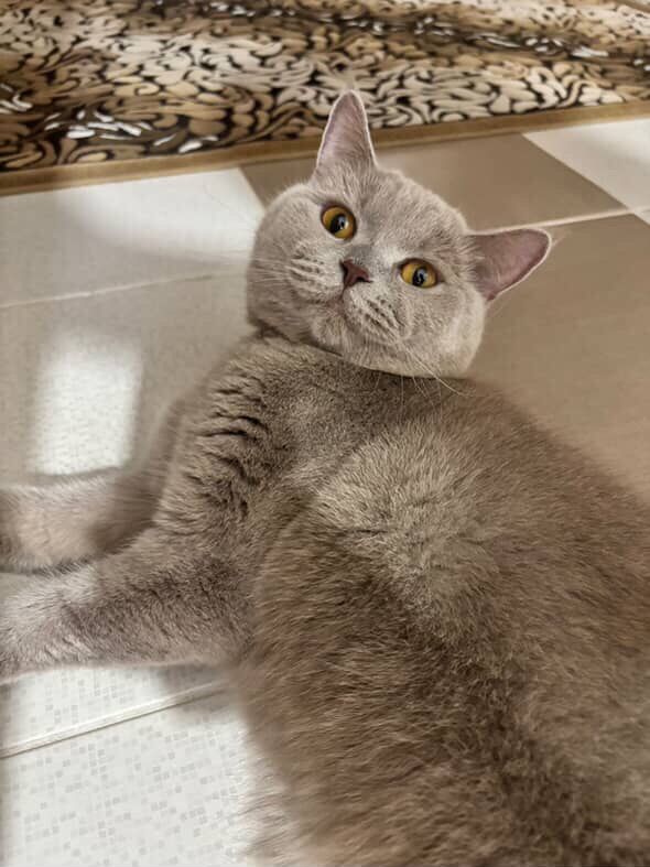 Whatsapp Image 2025 08 03 At 14.58.28 (1)