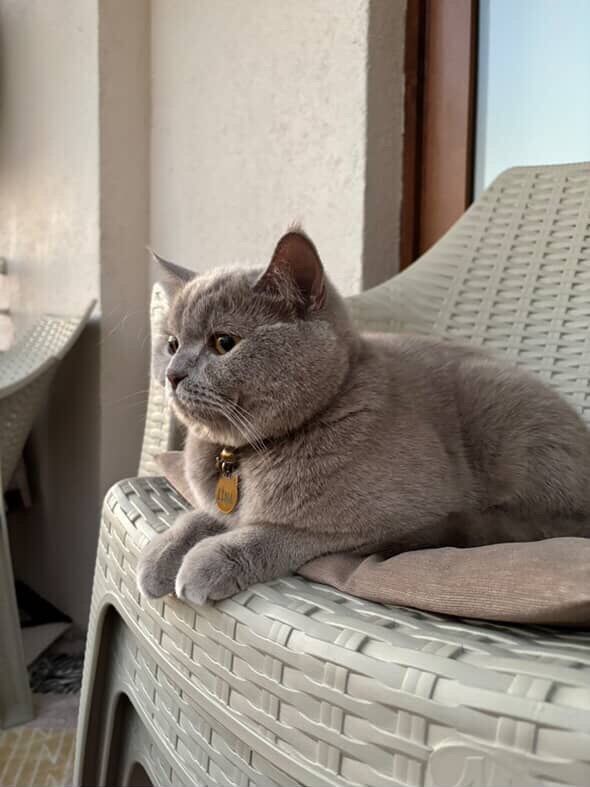 Whatsapp Image 2025 08 03 At 14.58.29 (1)