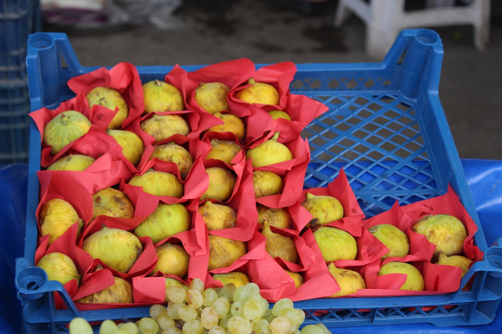 Whatsapp Image 2025 08 07 At 11.45.28