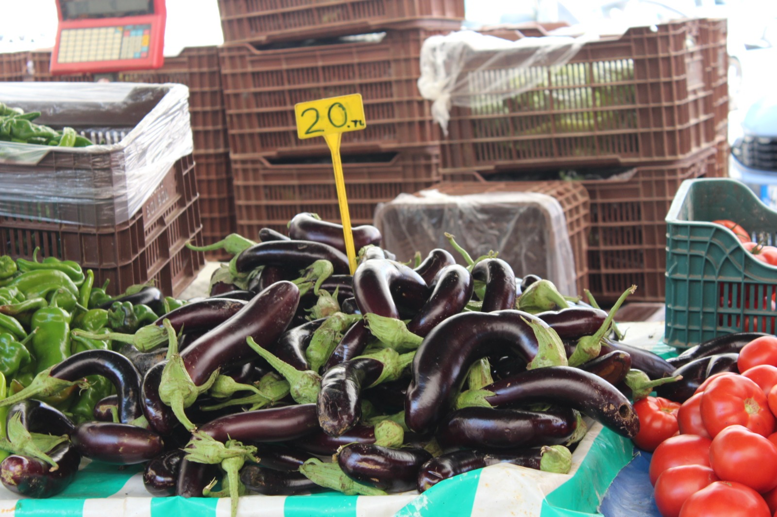 Whatsapp Image 2025 08 07 At 11.45.29 (11)