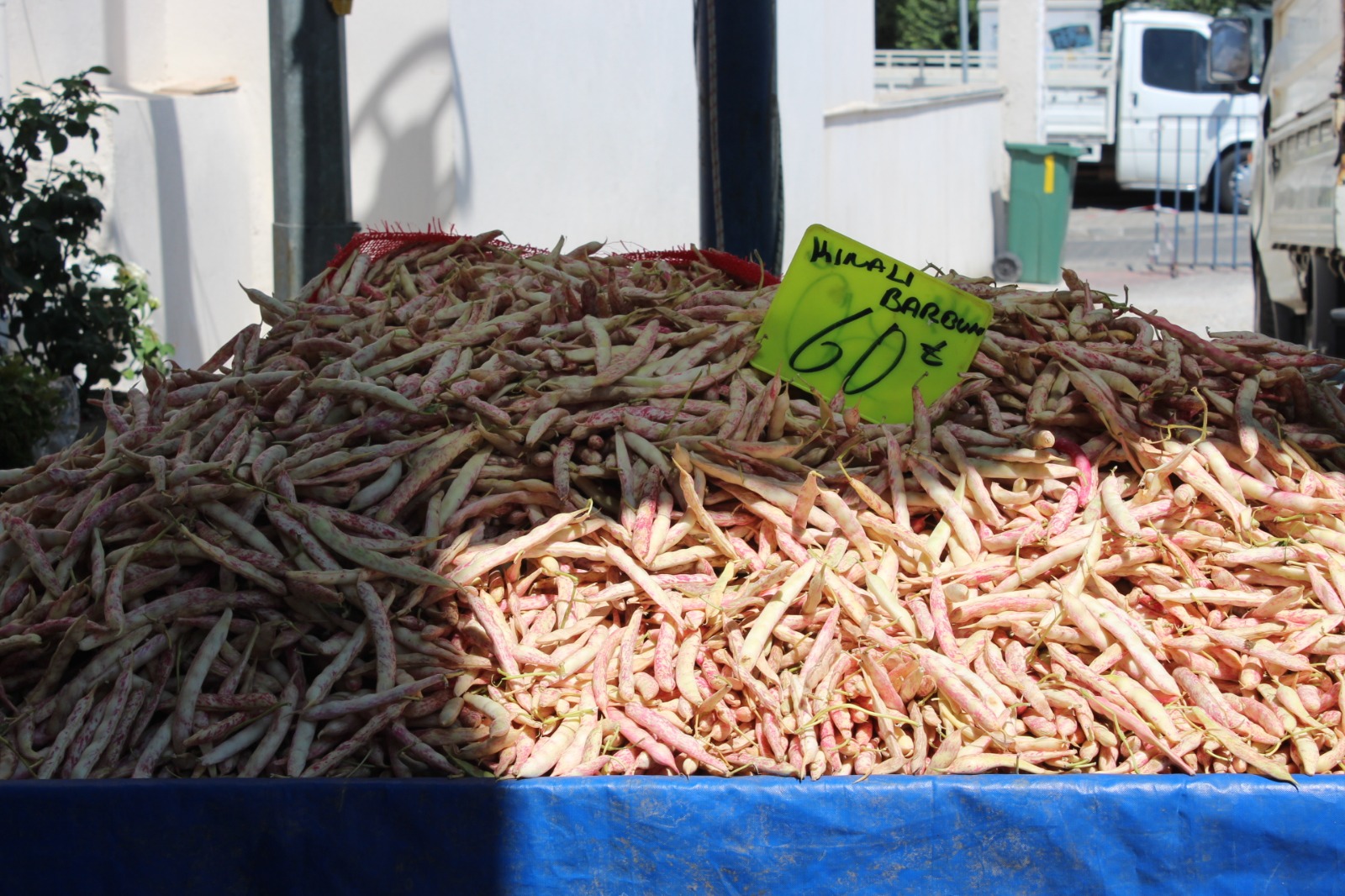 Whatsapp Image 2025 08 07 At 11.45.29 (13)