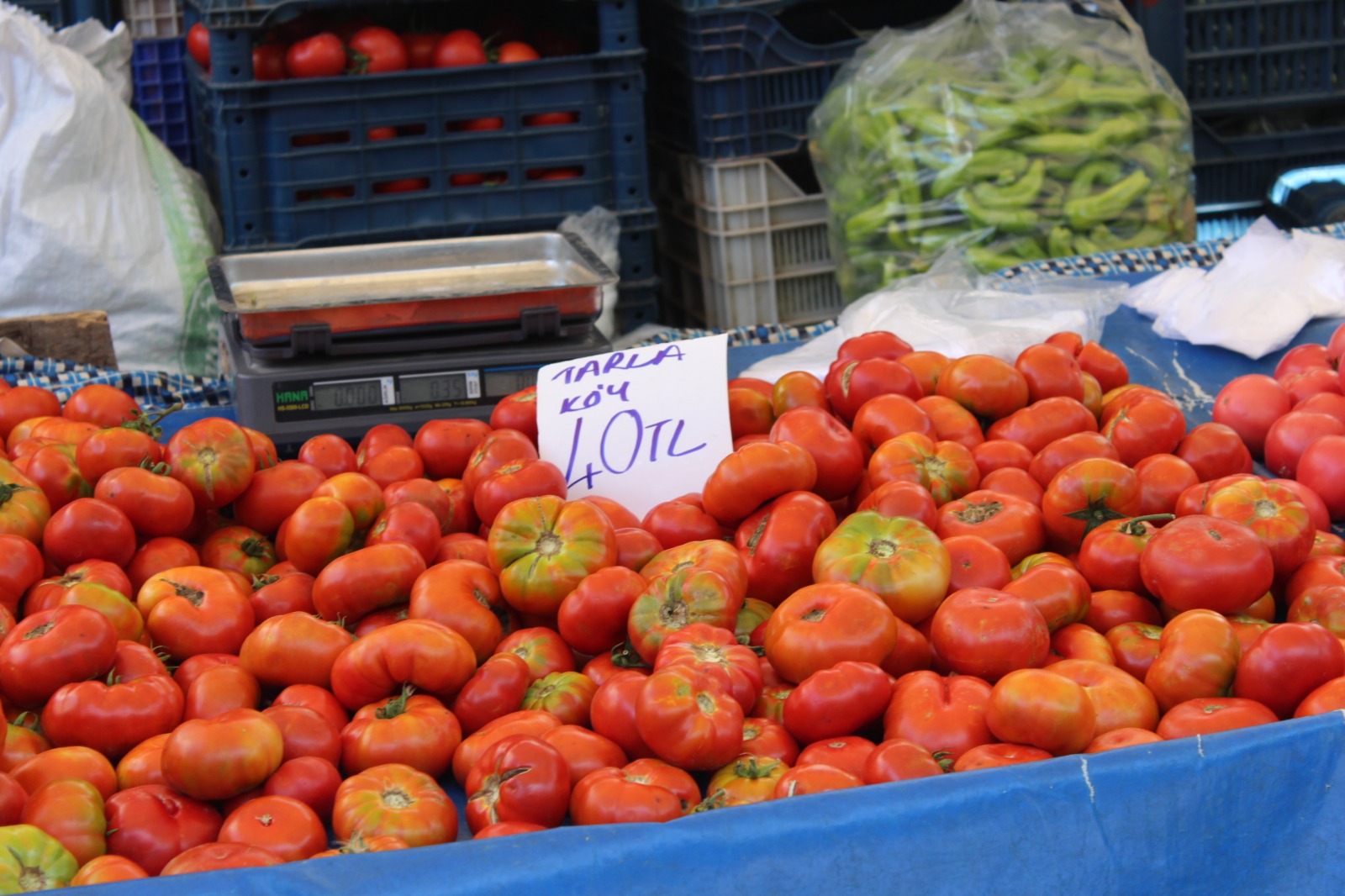 Whatsapp Image 2025 08 07 At 11.45.29 (2)