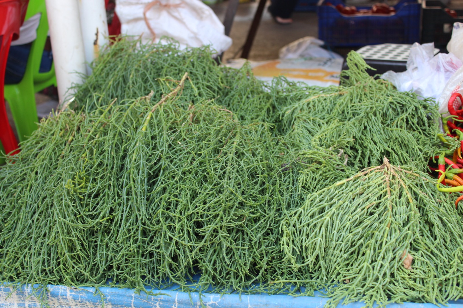 Whatsapp Image 2025 08 07 At 11.45.29 (4)