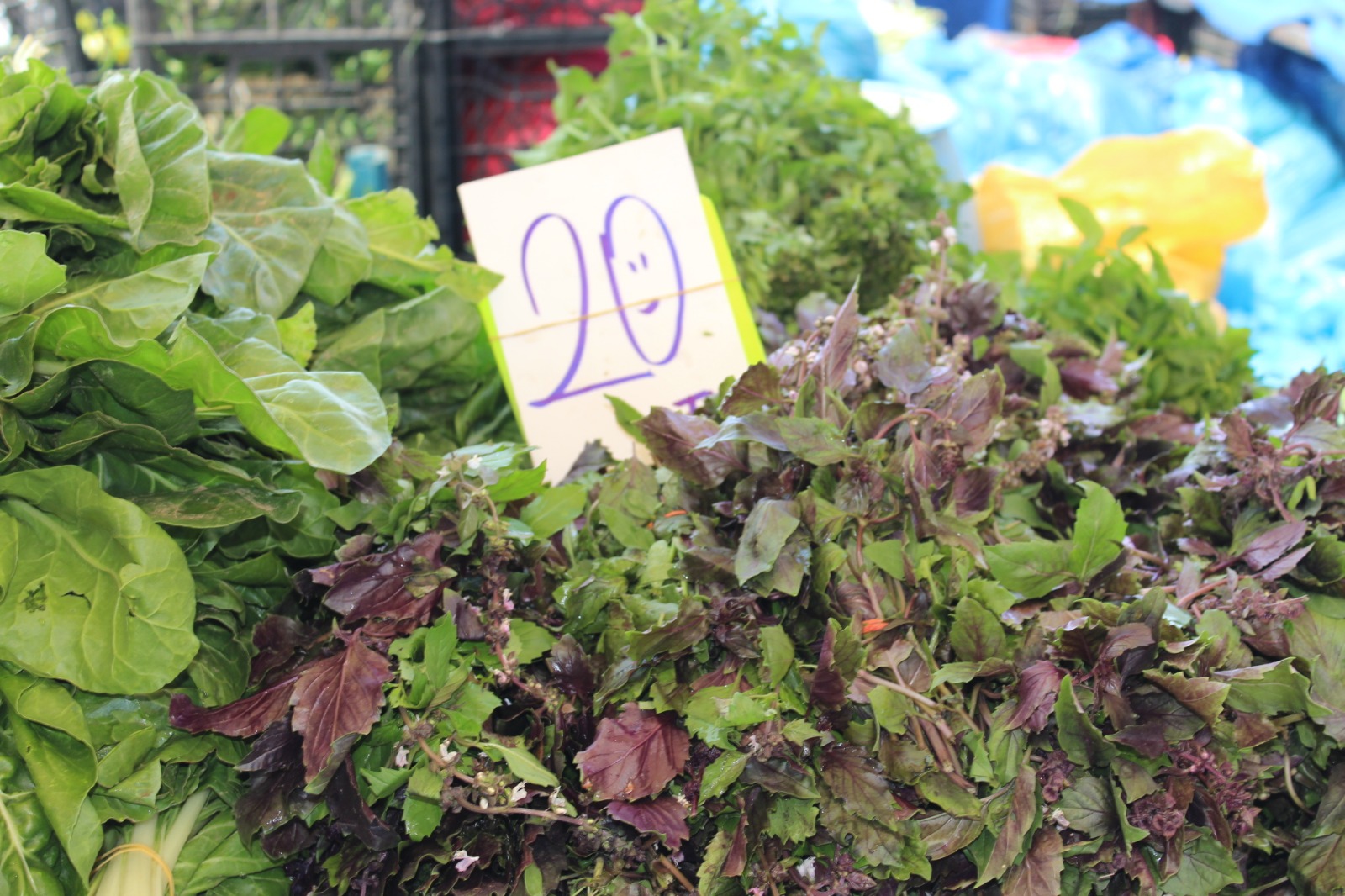 Whatsapp Image 2025 08 07 At 11.45.29 (6)