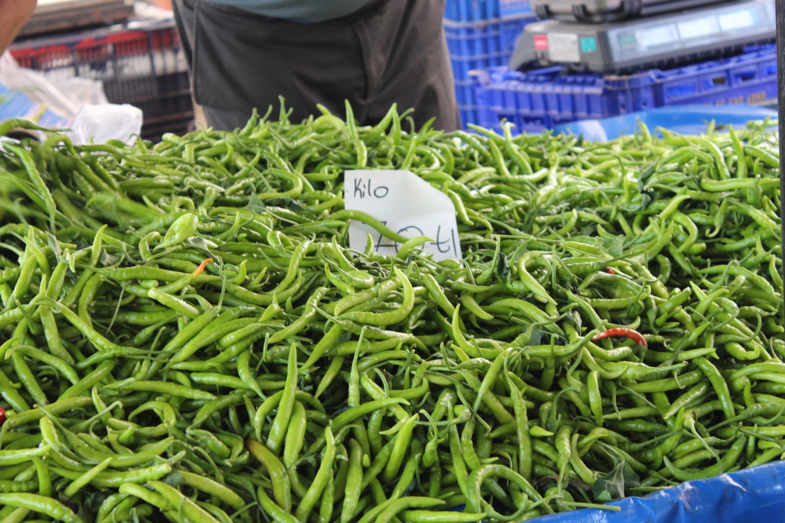 Whatsapp Image 2025 08 07 At 11.45.29 (9)