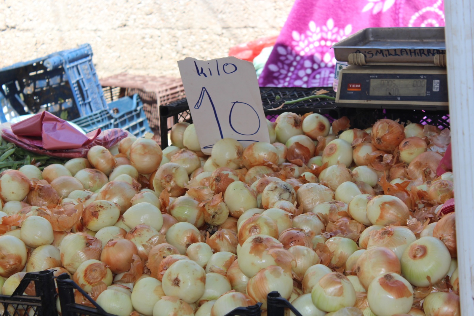 Whatsapp Image 2025 08 07 At 11.45.30 (2)