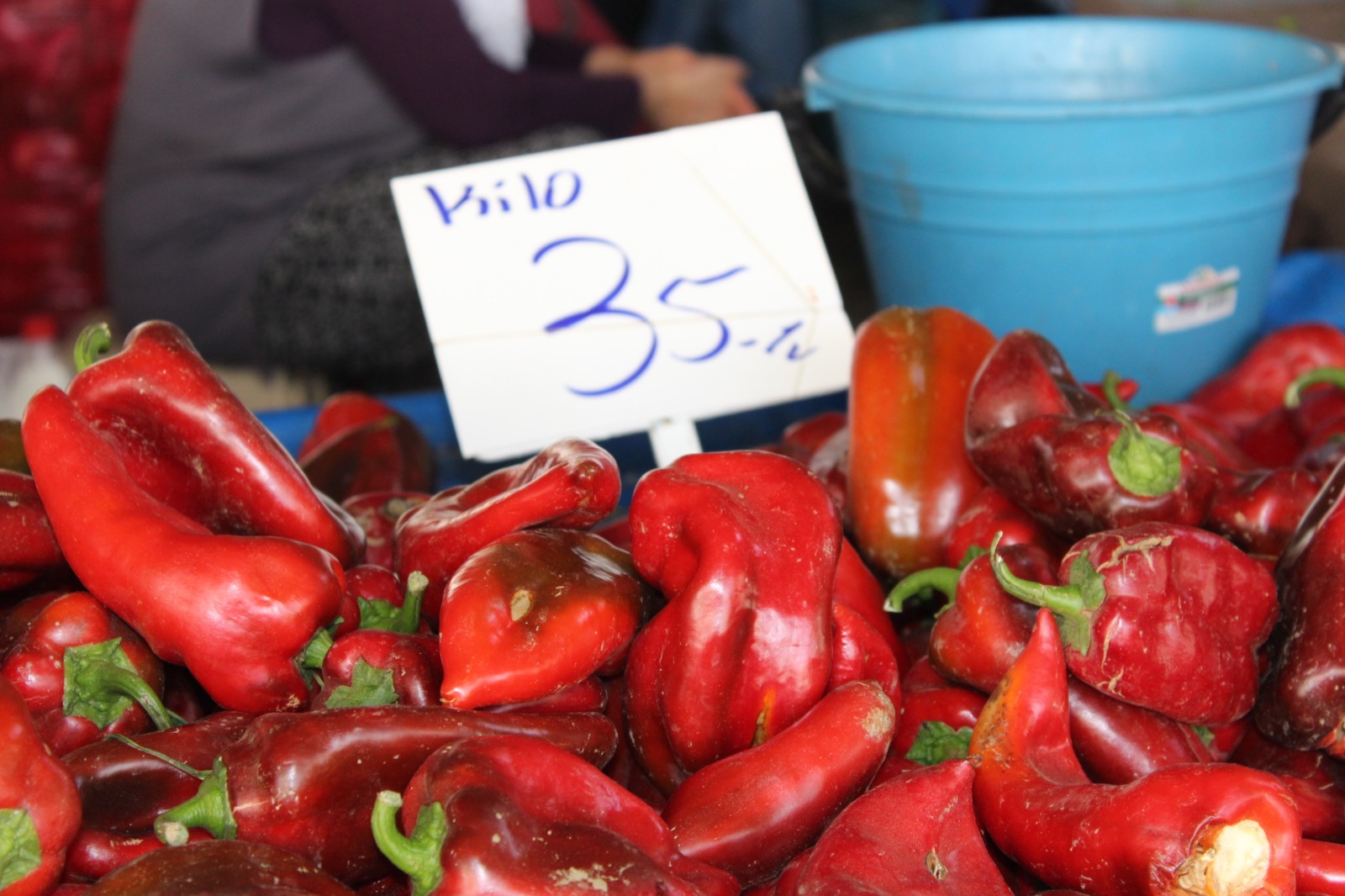 Whatsapp Image 2025 08 07 At 11.45.30 (6)