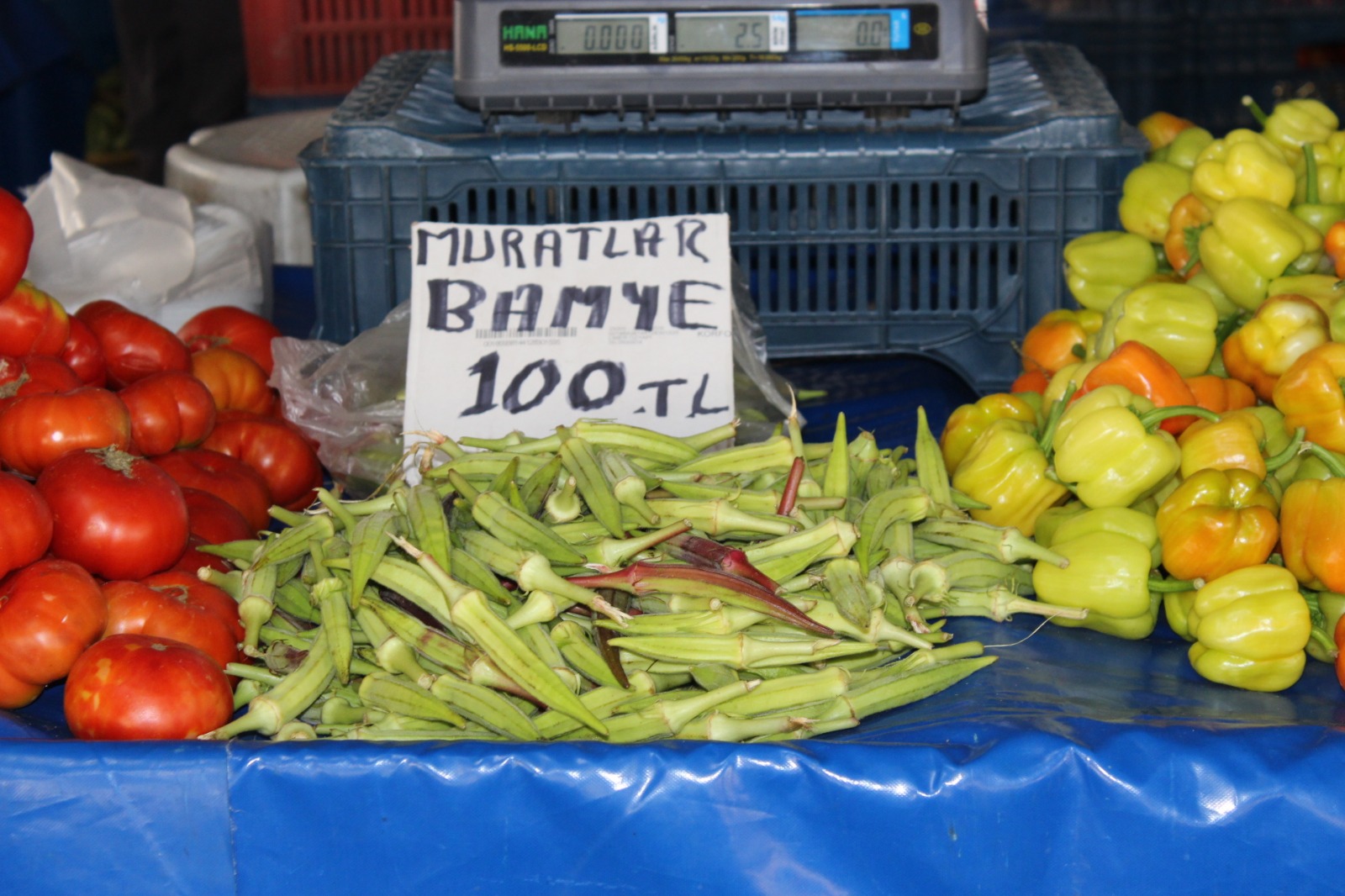 Whatsapp Image 2025 08 07 At 11.45.30 (7)