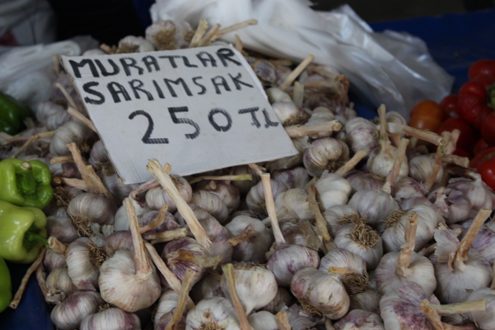 Whatsapp Image 2025 08 07 At 11.45.30 (8)