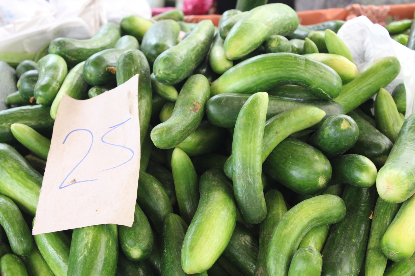 Whatsapp Image 2025 08 07 At 11.45.30