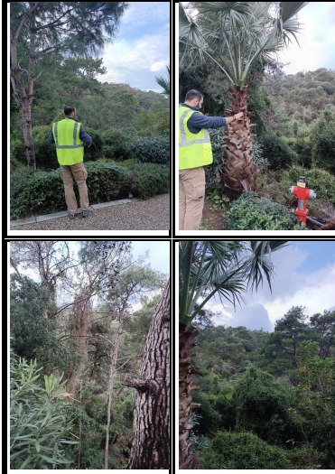 Whatsapp Image 2025 08 08 At 09.45.54 (1)