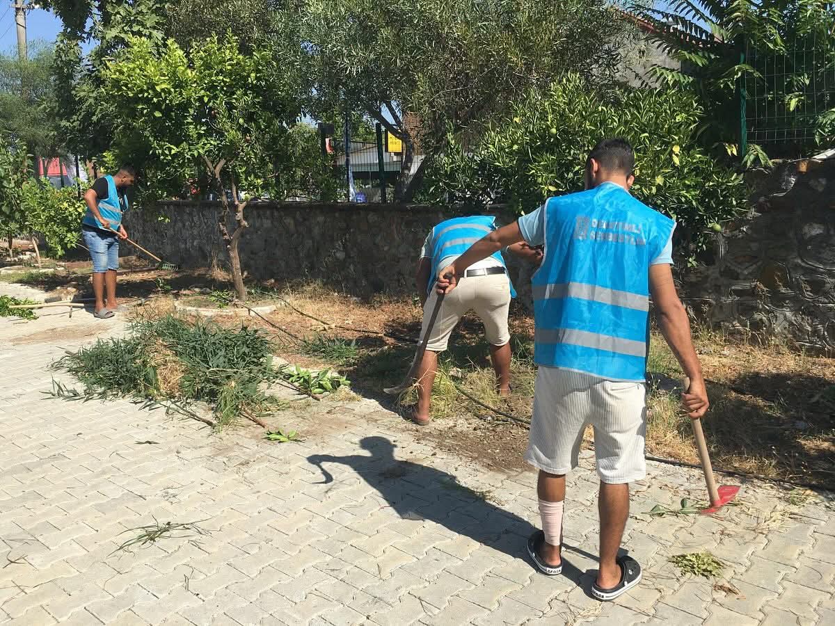 Whatsapp Image 2025 08 08 At 11.11.17