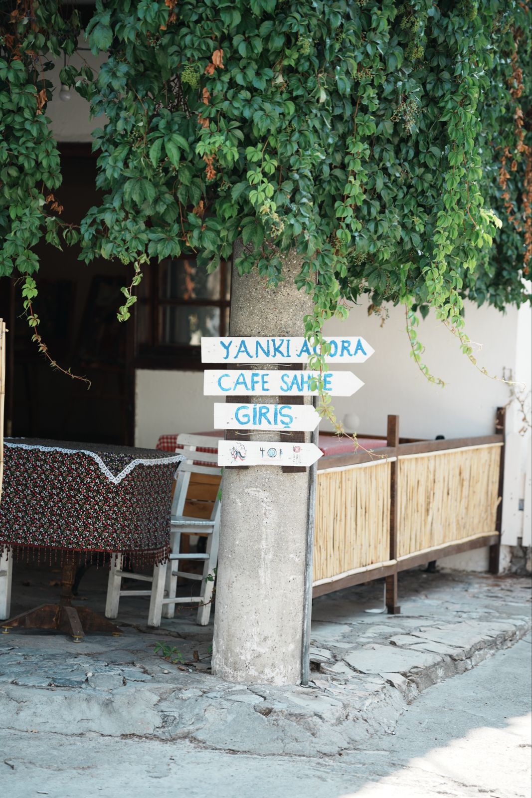 Whatsapp Image 2025 08 09 At 13.32.20