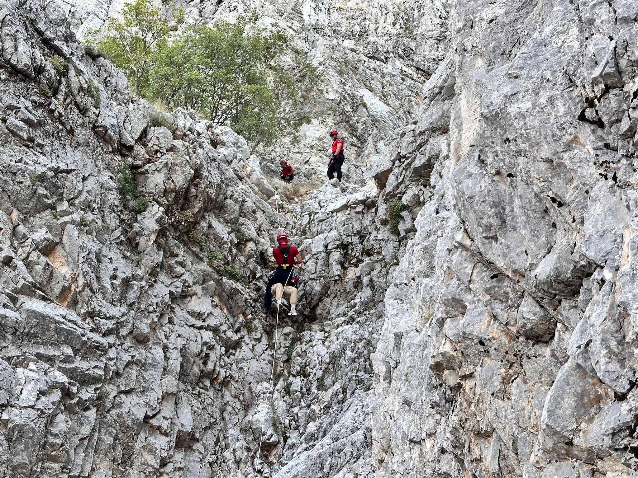 Whatsapp Image 2025 08 09 At 21.03.33