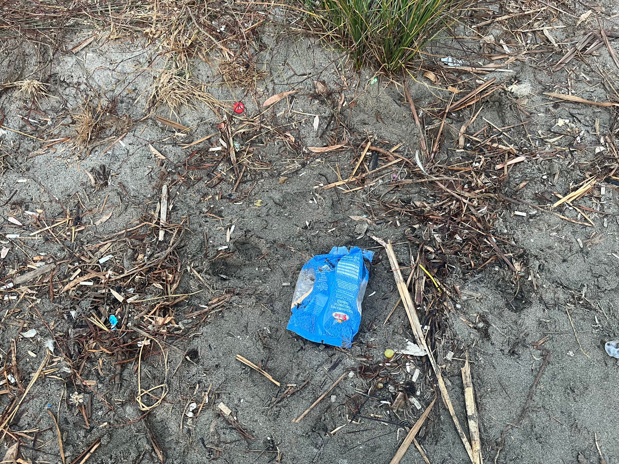 Whatsapp Image 2025 08 12 At 13.43.41 (1)