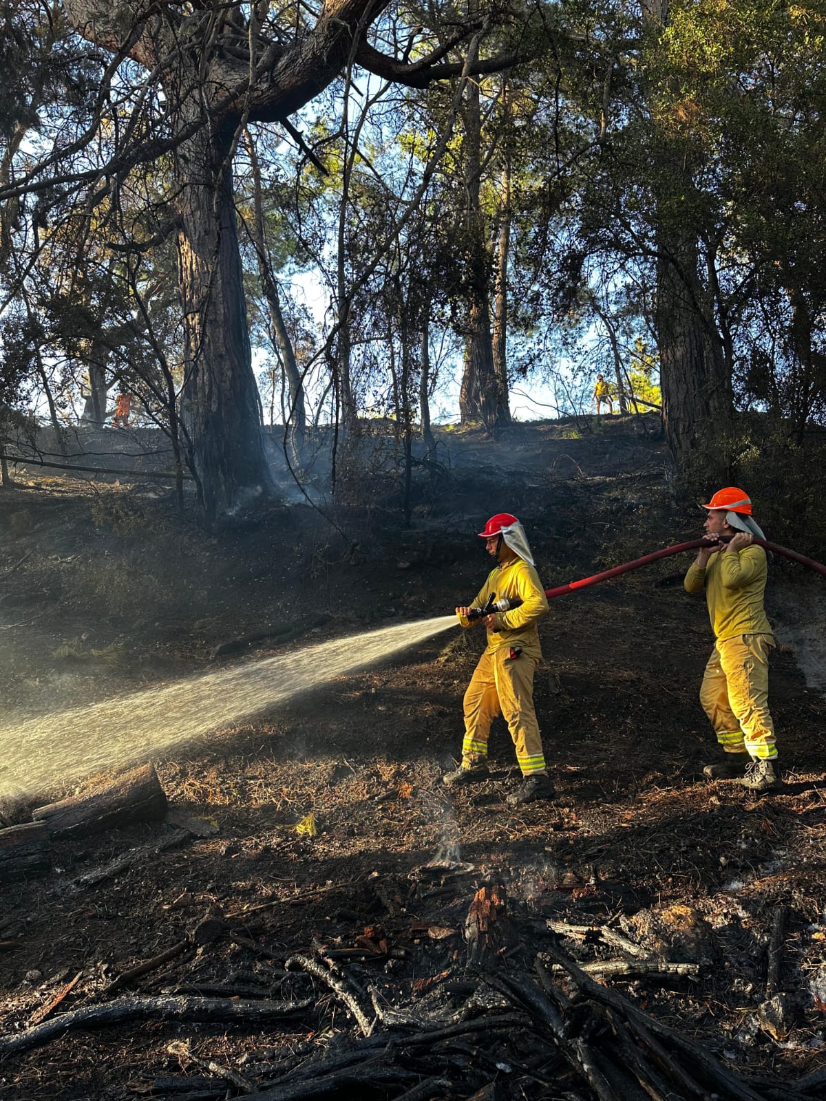 Whatsapp Image 2025 08 14 At 19.02.49