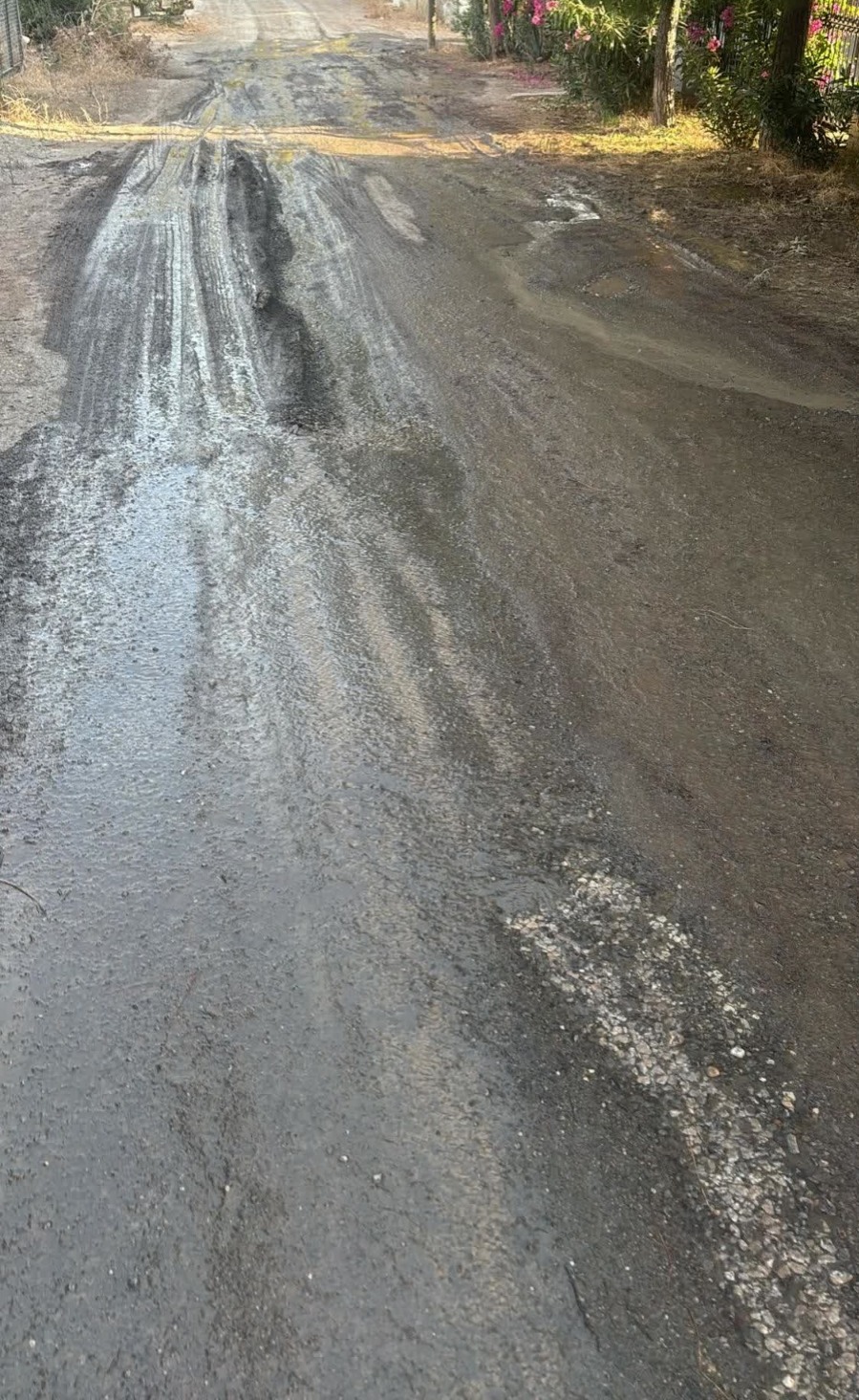 Whatsapp Image 2025 08 15 At 11.32.36 (1)