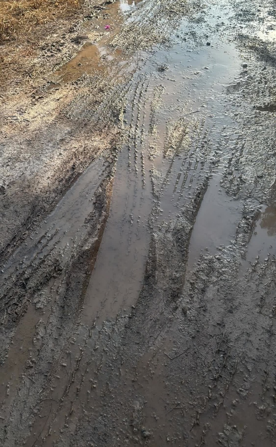 Whatsapp Image 2025 08 15 At 11.32.36