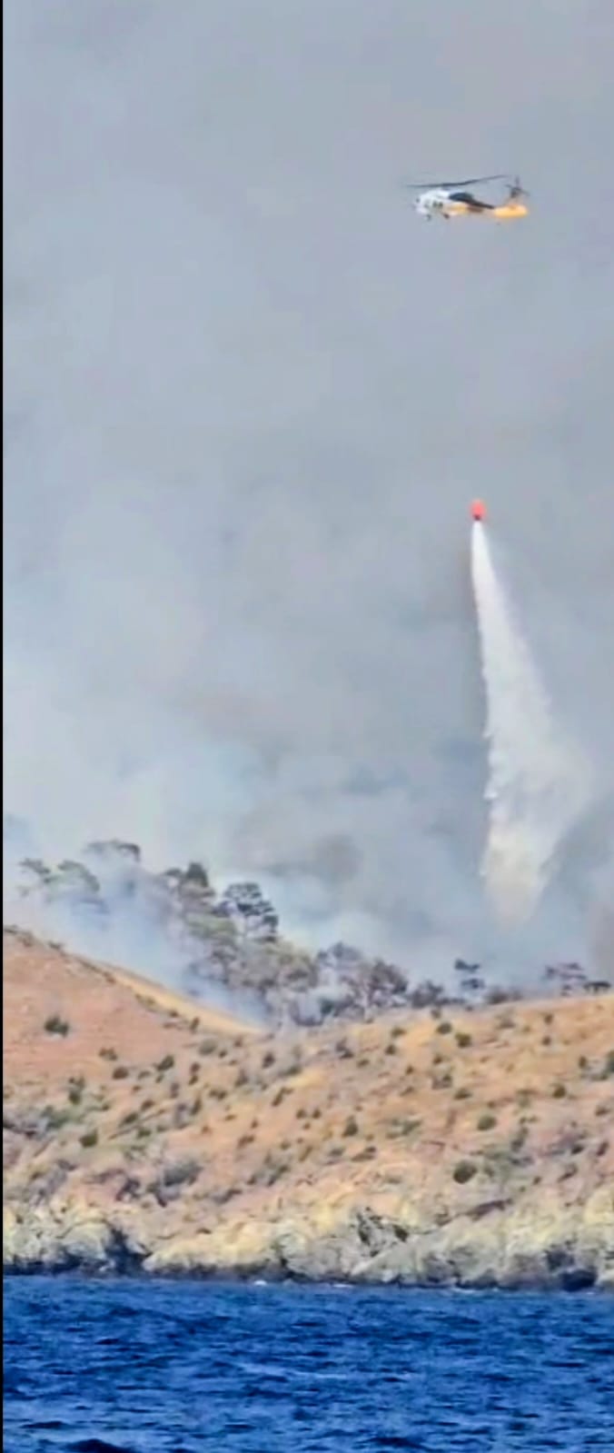 Whatsapp Image 2025 08 15 At 16.11.56