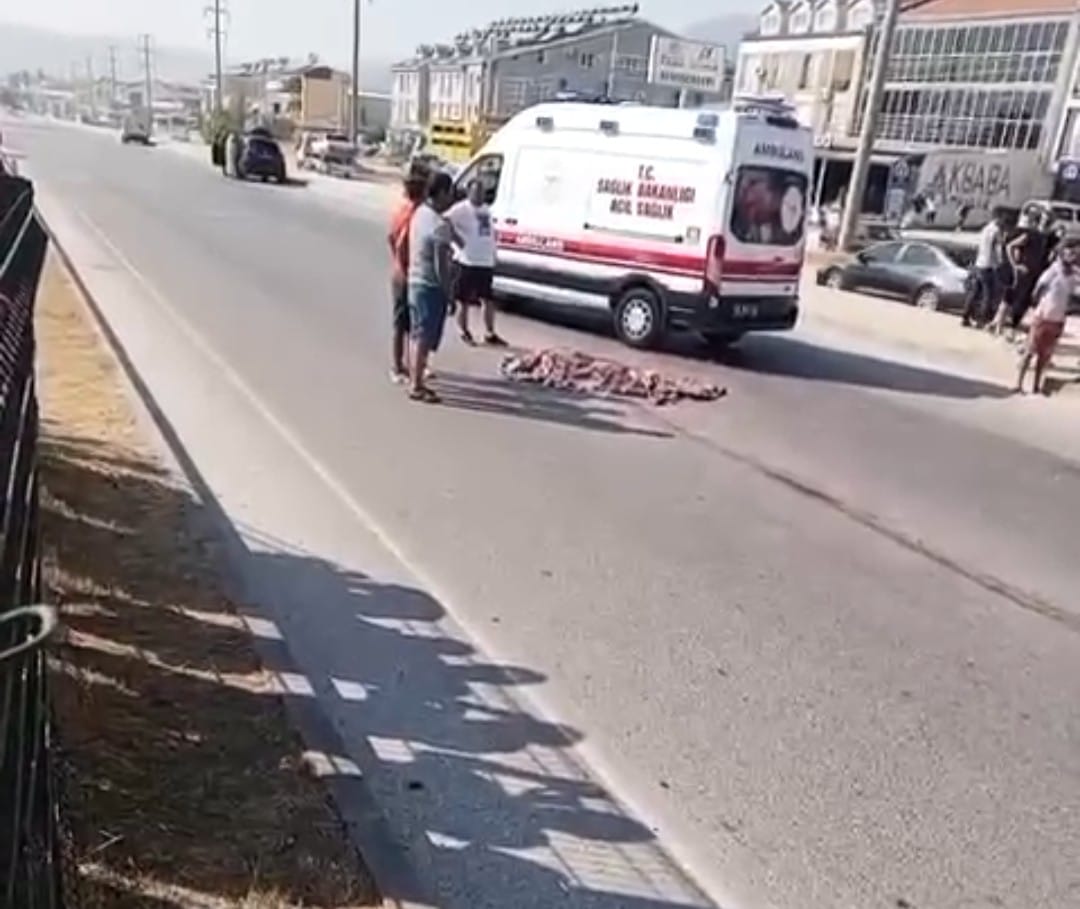 Whatsapp Image 2025 08 15 At 17.09.37 (1)