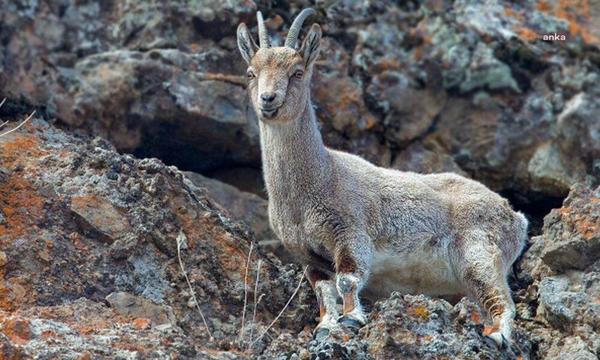 Whatsapp Image 2025 08 18 At 12.20.02-1