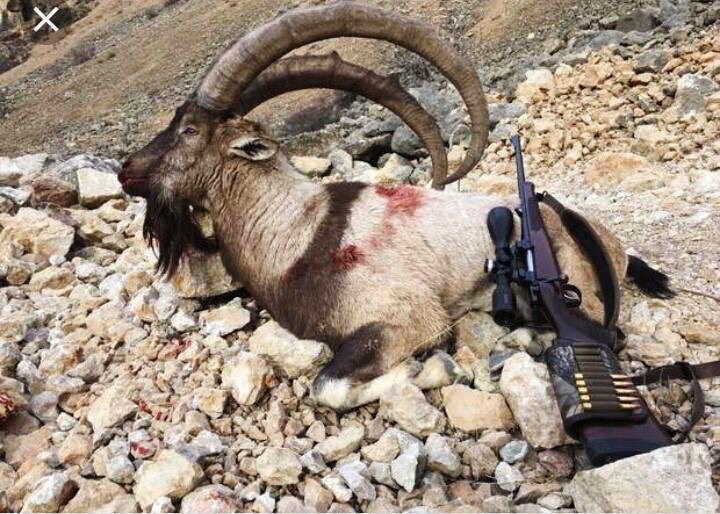 Whatsapp Image 2025 08 18 At 12.20.02 (2)