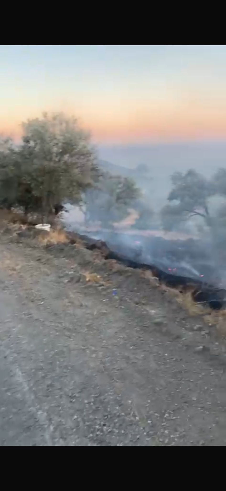 Whatsapp Image 2025 08 20 At 19.55.06