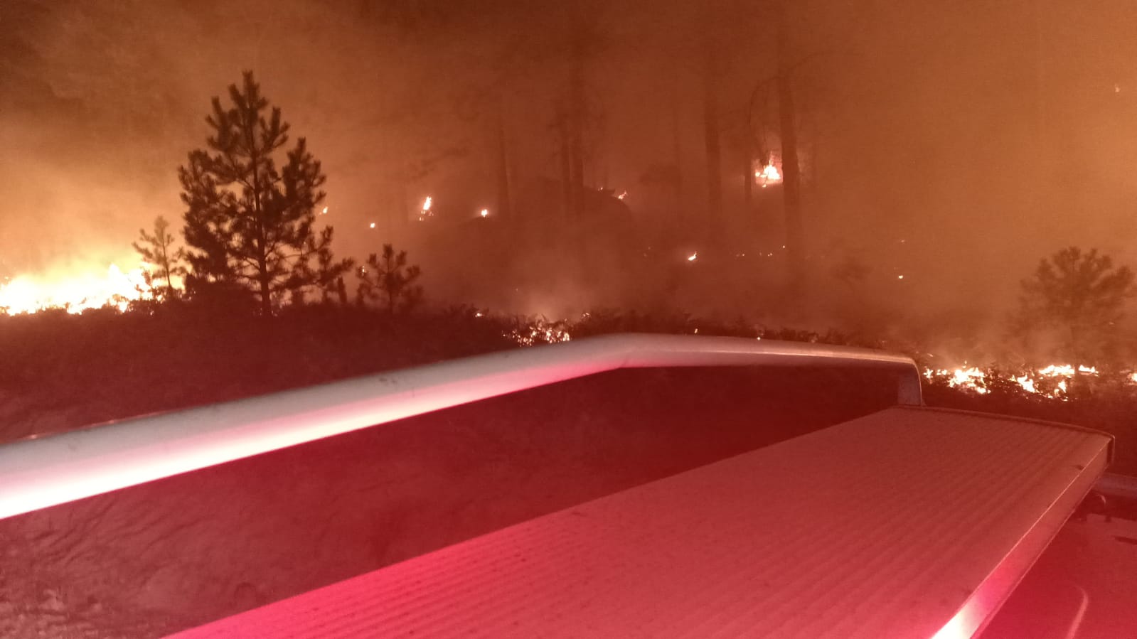 Whatsapp Image 2025 08 21 At 00.47.35