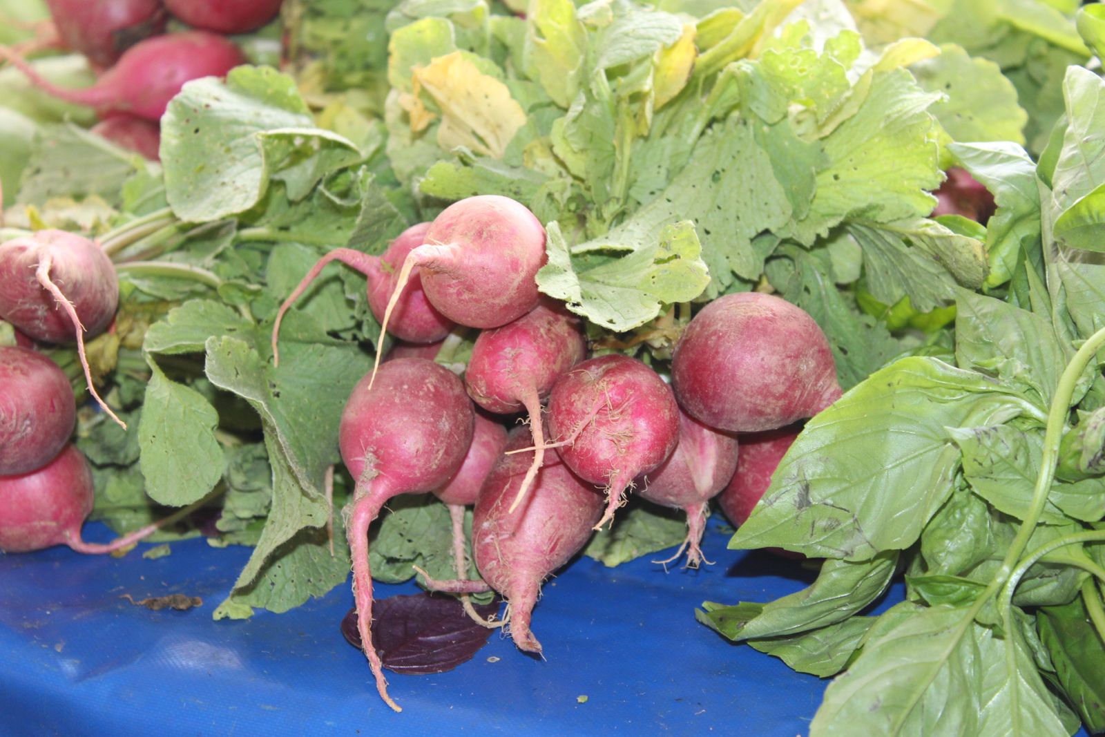 Whatsapp Image 2025 08 21 At 14.54.01 (2)