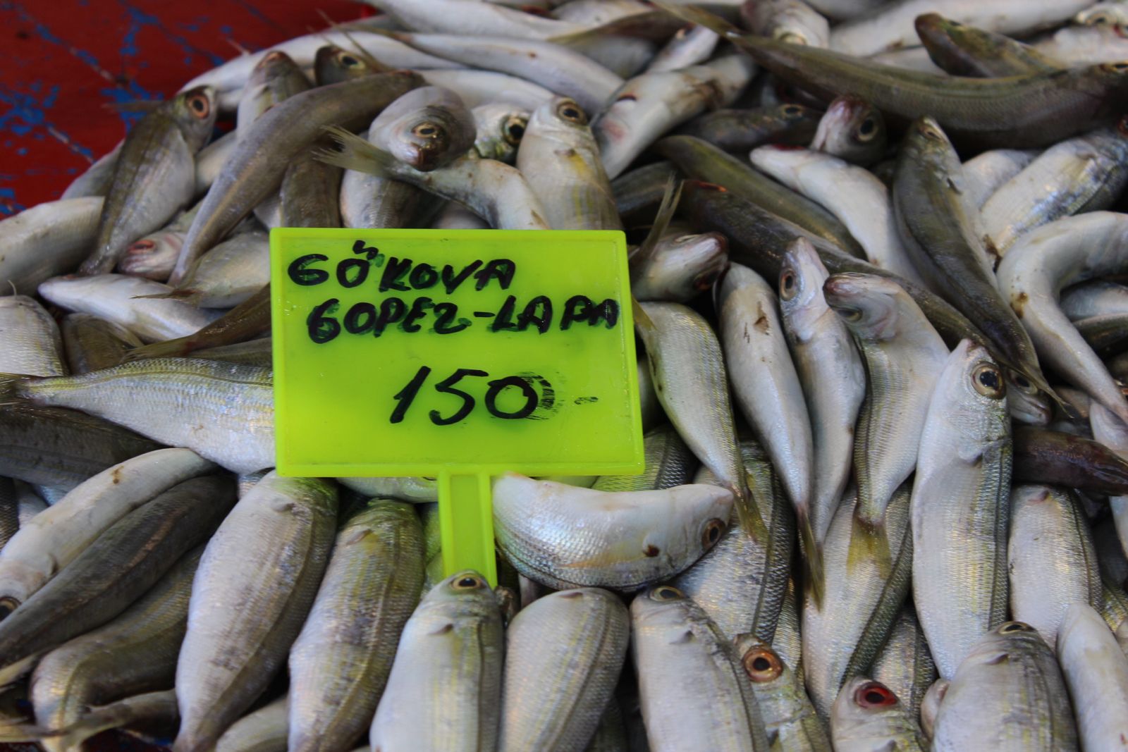 Whatsapp Image 2025 08 21 At 14.54.02 (1)