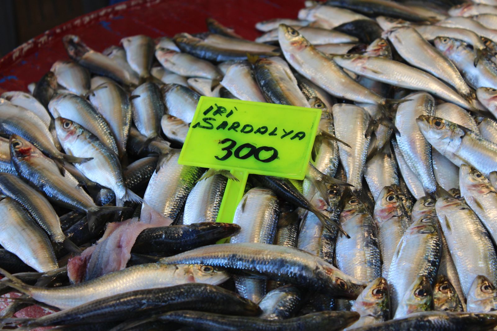 Whatsapp Image 2025 08 21 At 14.54.02