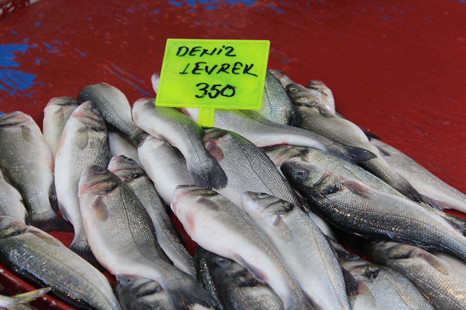 Whatsapp Image 2025 08 21 At 14.54.03