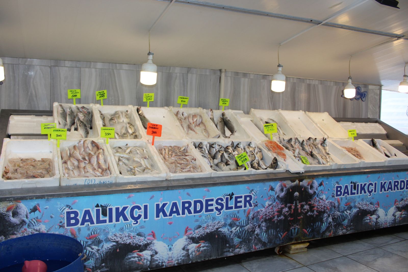 Whatsapp Image 2025 08 21 At 14.54.04