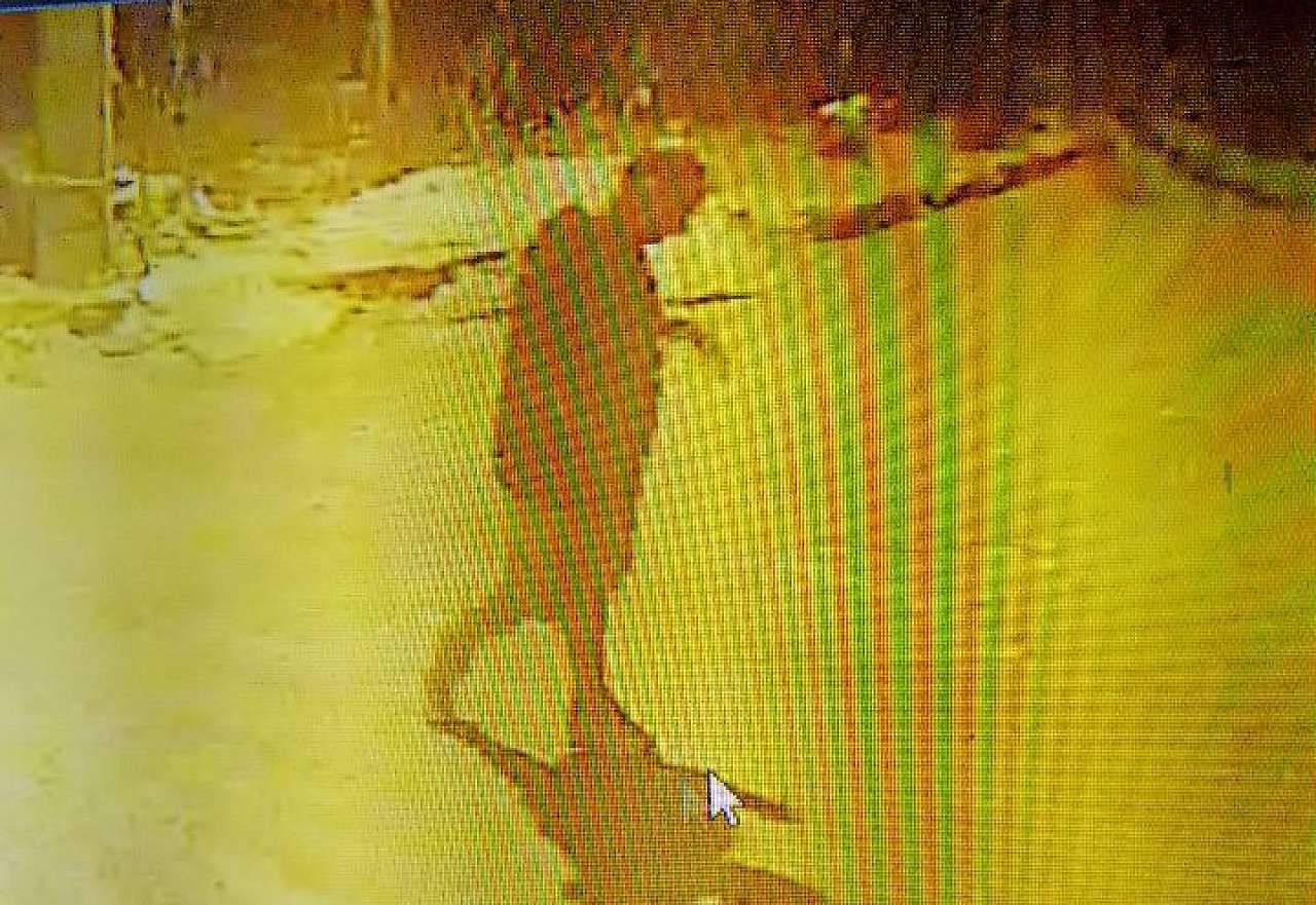 Whatsapp Image 2025 08 21 At 16.05.01